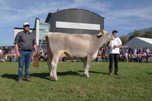 schoeneuter mittlere bs estell martin wallimann