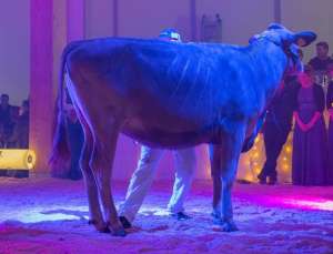 screenshot 20231217 facebook