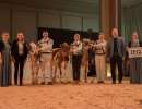 showmanship champion
