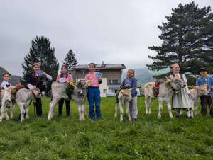 kaelberwettbewerb lungern