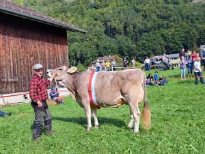 whatsapp image 2023 09 21 at.04.26