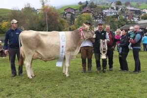 miss bs haegar hessa von andreas niederberger  buochs ch.1557.6187.7 