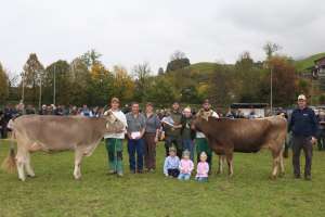 miss genetik ob omar omalia von risi patrick buochs ch.1708.4226.1  links  und miss genetik bv amir aleen von ivan christen mittel  wolfenschiessen ch.1730.1742.0