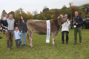 rindermiss bs zrotz brice amara von beat zrotz  hergiswil nw ch.1689.9837.6