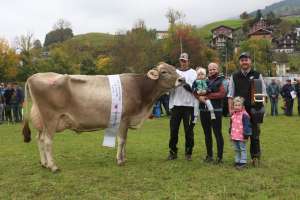 schoeneuter alt janik joya von andreas niederberger  buochs ch.1430.2378.9