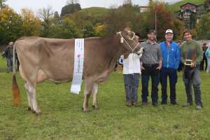 schoeneuter mittlere tiziano tiffany von sepp lussi  oberdorf ch.1460.8779.5