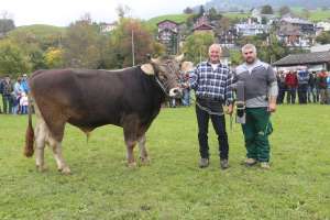 zum mister nidwalden wurde nuematts arcas roman von ernst amrhein  ennetmoos gekuert  ch.1762.7911.5