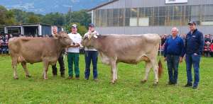 miss genetik ob harlei halma burch ruedi hostett stalden und miss genetik bv capri goldhill kathriner kobi sarnen angepasst