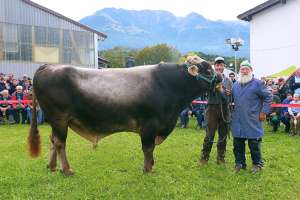 mister enz daniel  hirsgaertliweg giswil jubilar jongleur