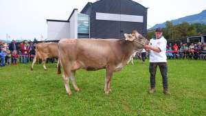 schoeneuter. laktation collaps happy von wallimann martin alpnach