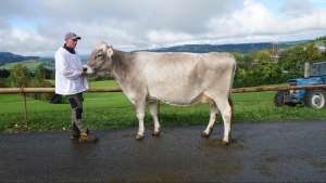 schoeneuter aeltere lennox landa