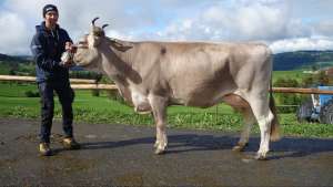 schoeneuter ob aeltere artos adele