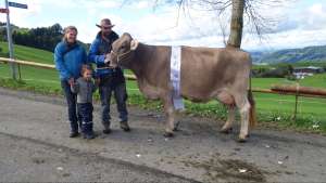 zum.mal ob champion troell thea