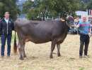 miss genetik bs blanka von walker daniel  wildried   flueelen ch.1539.3171.5 