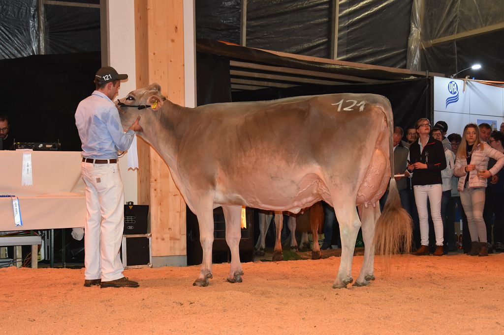 Anmeldung Auktion Chommle vom 23.09.2020